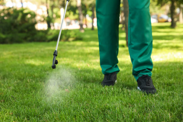 Best Local Pest Control Services  in Homosassa, FL
