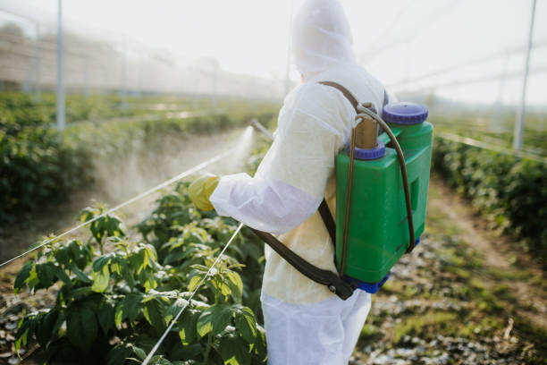 Best Pest Prevention Services  in Homosassa, FL
